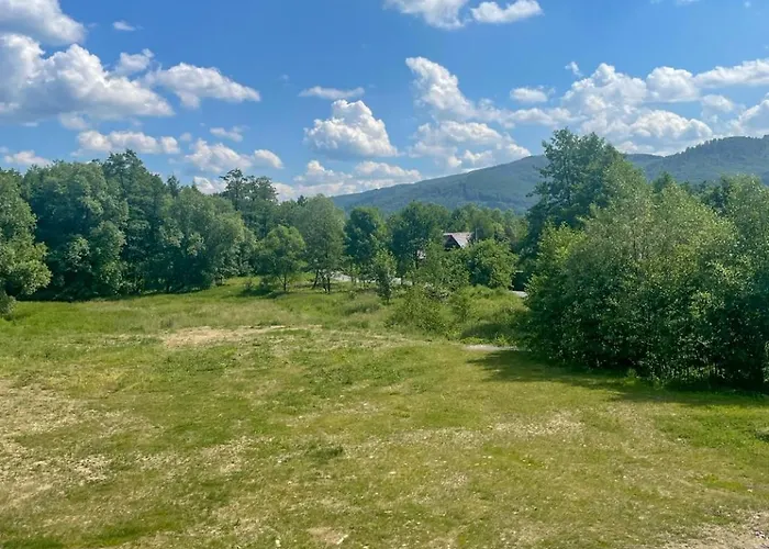 Olszynka * Gorki Wielkie